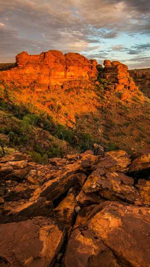 搜狗蜘蛛池代理截图1
