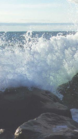 陕西蜘蛛池出租平台截图5