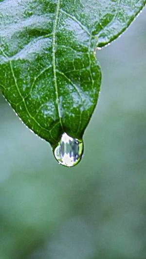 平台seo工具排名截图3