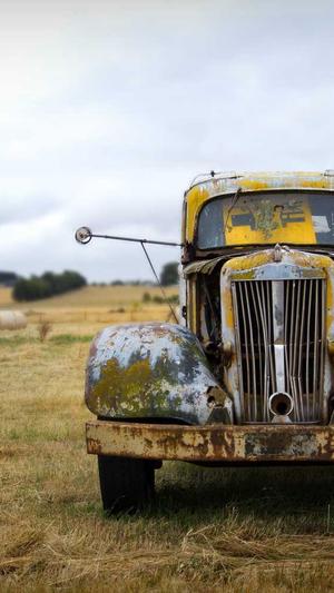 蜘蛛池前台会员模板截图1