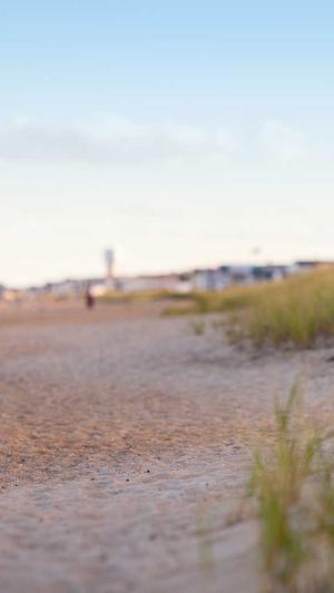 句容网站建设截图3