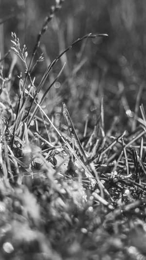 seo外链工具怎么用截图2