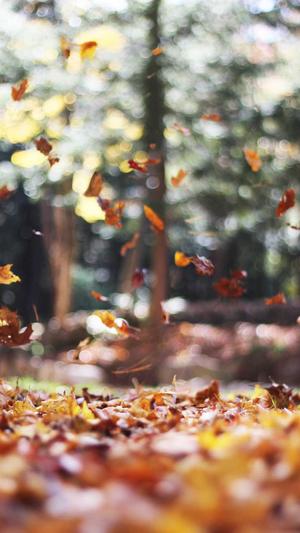 梅州网站建设截图2