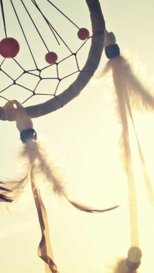 泛目录如何爆收录截图3