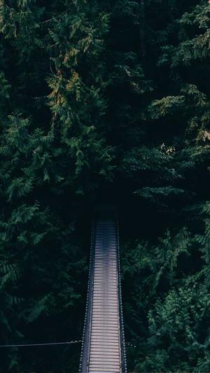 seo网站推广截图1