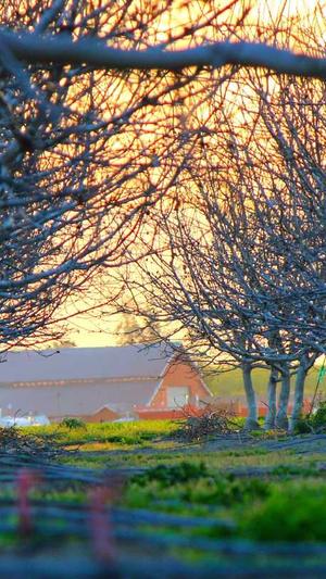 关键词推广工具乐云seo截图2