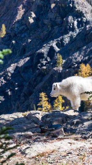 蜘蛛池租用优化截图1