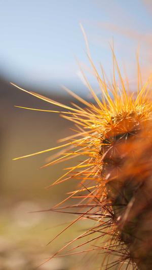 最新泛目录程序截图1