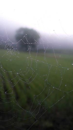 网站建设技巧截图3