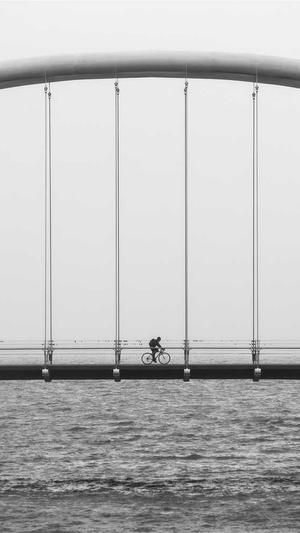 搜索引擎seo截图3