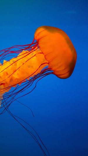 排名seo优化工具截图3