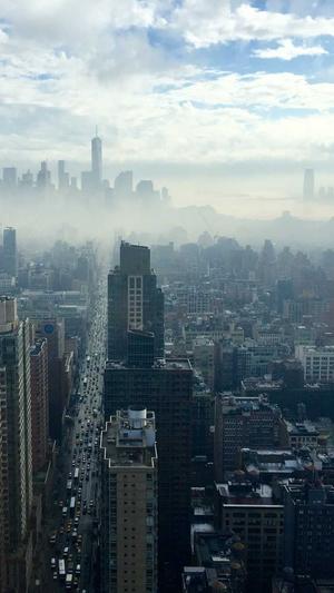 蜘蛛池有用截图4