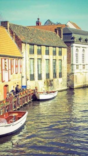 泛目录如何爆收录截图1