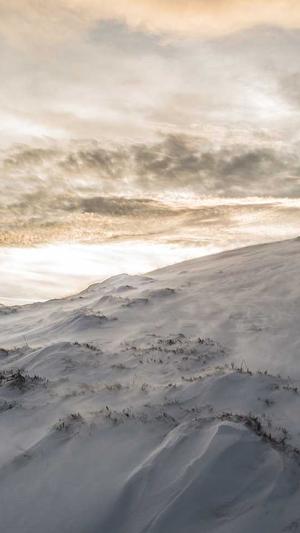 好看的网站建设截图4