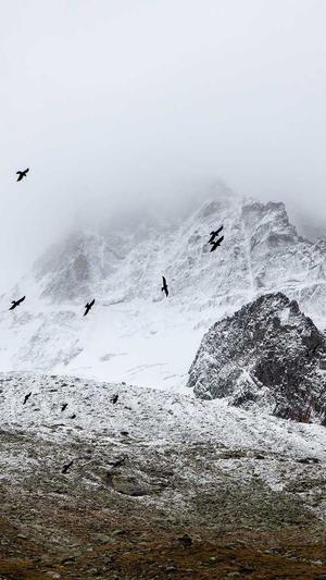 小旋风蜘蛛池教程视频截图2