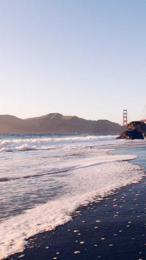 seo关键字工具截图2