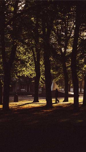 蜘蛛池出租价格截图1