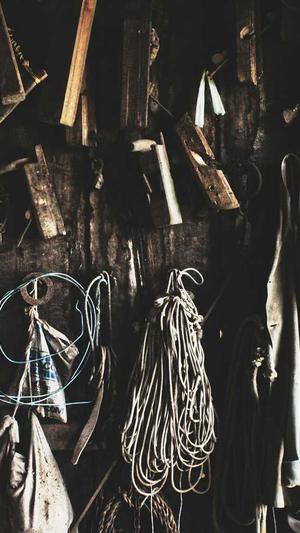 百度seo排名优化截图3