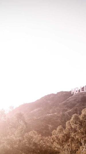 奉贤网站建设截图2