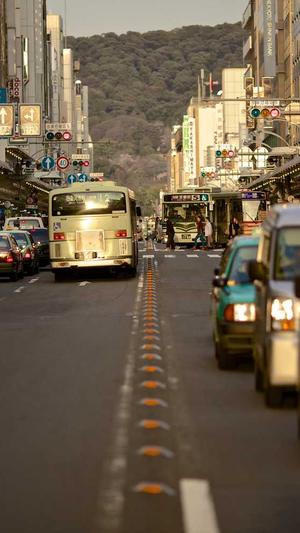 黑侠蜘蛛池教程截图1