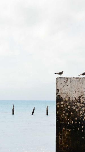 seo优化课程截图3