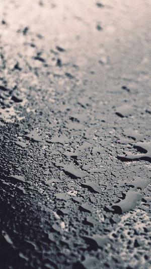 seo刷排名咨询工具截图1