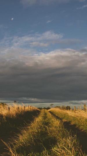 个人网站建设截图1