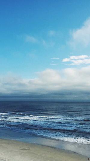 西宁seo优化截图4