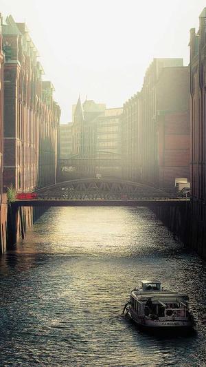 蜘蛛池租用服务找哪家截图3