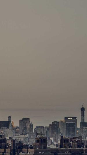 泛目录内页站群程序截图5