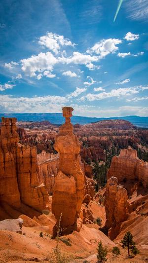 西安seo优化工具截图1