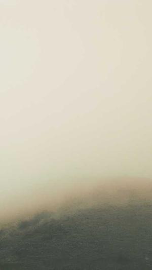 清风算法蜘蛛池截图2