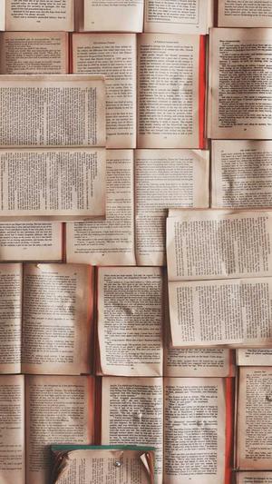 seo优化工具怎么选截图2