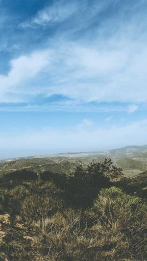 企业网站seo截图1