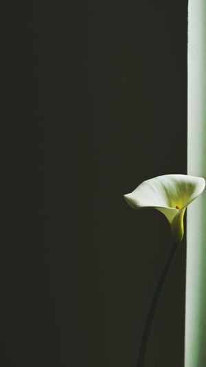 重庆专业seo截图3