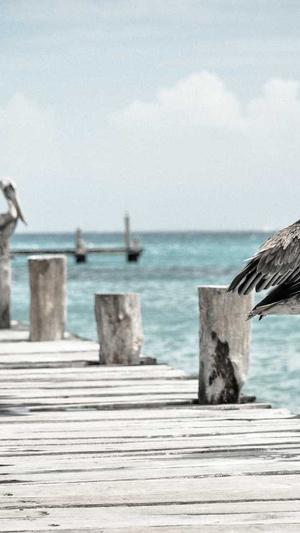 潜江网站建设截图3