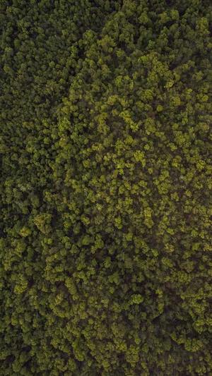 蜘蛛池网址截图3