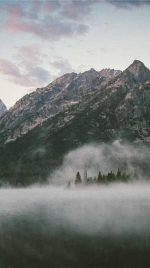 国外网站建设网站截图2