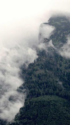 网站建设四川冠辰截图3