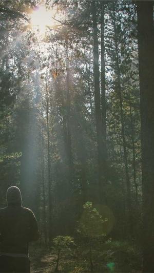 政府网站建设截图5