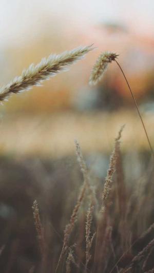 南昌seo推广截图2